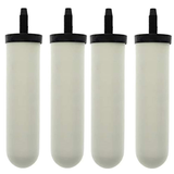 Older generation Ultra Sterasyl water filters
