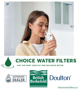 Choice Water Filters / British Berkefeld / Doulton / Berkey Water Systems