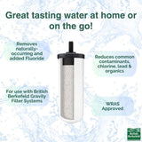 remove fluoride berkefeld fluoride filter 8B76