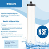 Doulton NSF Ultracarb® Water Filter (9501) W9123053