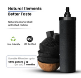 replacement water filter for Berkey